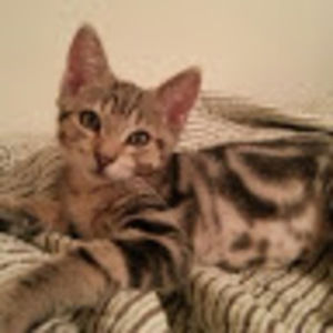 Meet your Posher, Colette